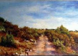 Camino entre encinas